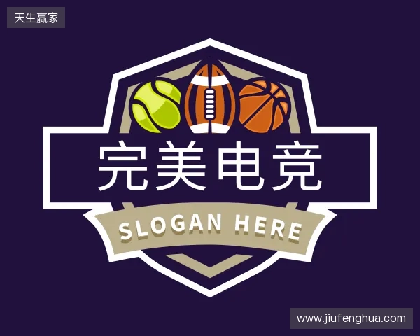 关于完美电竞